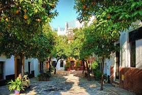 Barrio-de-Santa-Cruz.jpg