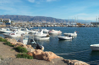 3web.jpg