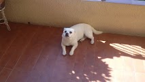 20170524_100803.jpg