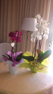 20190504_122652.jpg