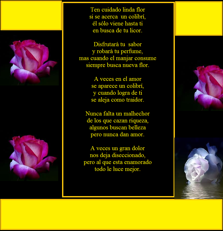 Colibri.png