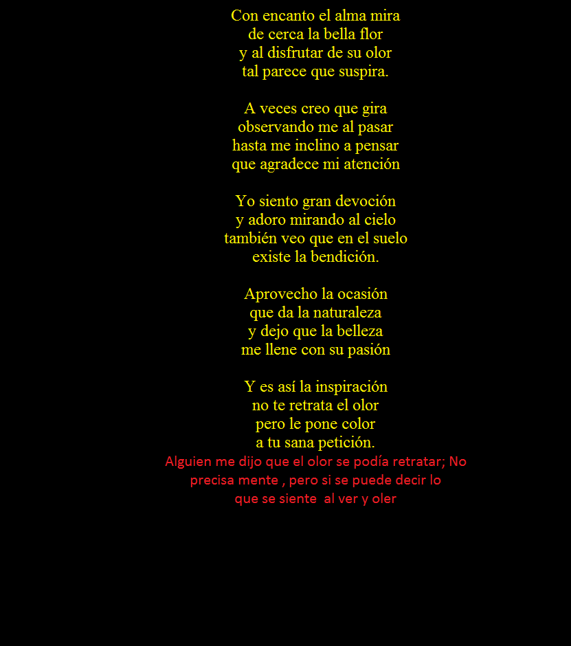 Disfrutando4.png