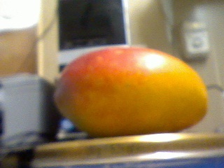 mango.jpg