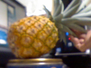 piña1.jpg