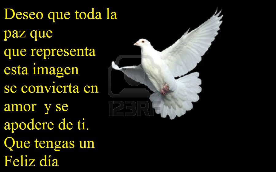 p blanca.jpg
